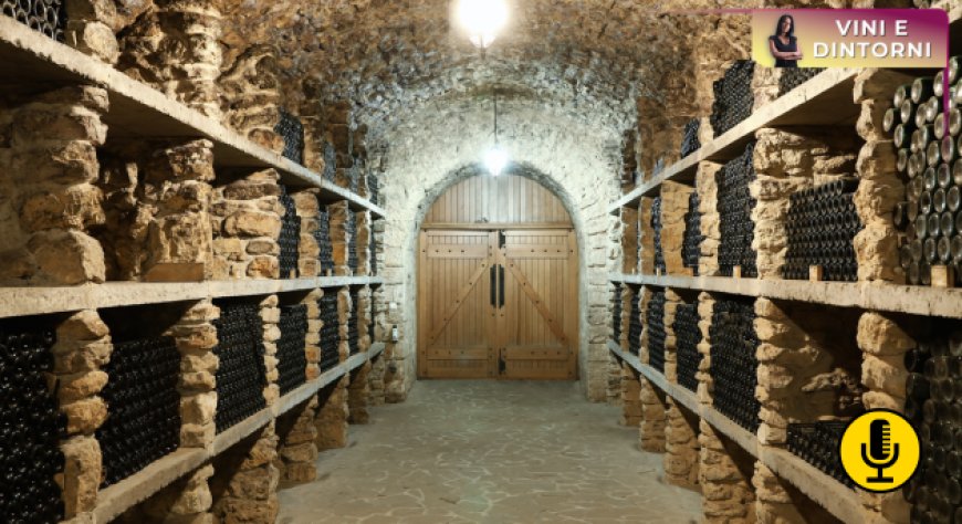 Cantine piene, mercati instabili: perché il sistema vino italiano deve diventare più flessibile