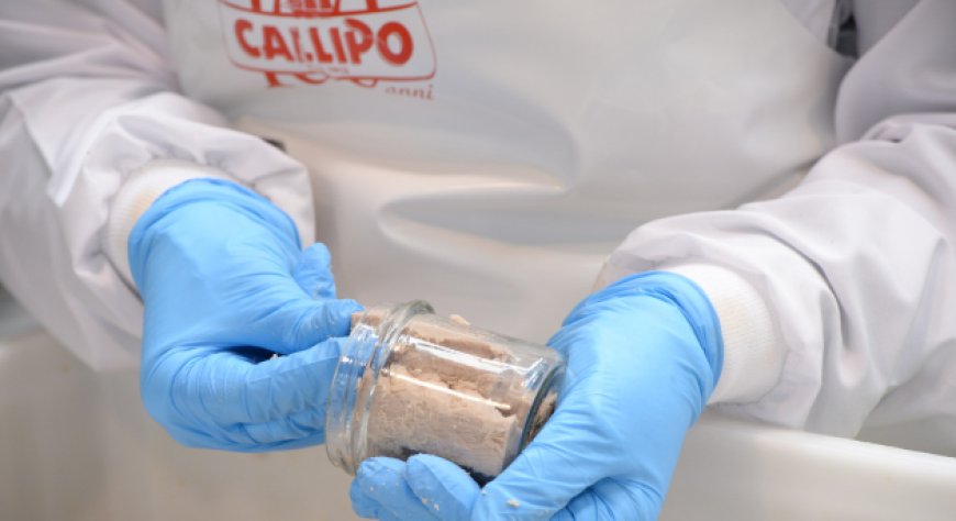 Callipo Group cresce nel 2025: fatturato consolidato oltre 112 milioni e boom dell'export