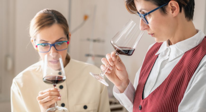 Nasce il Master Sommelier ONAV: 50 ore tra neuroscienze, cultura del cibo e alta ristorazione.