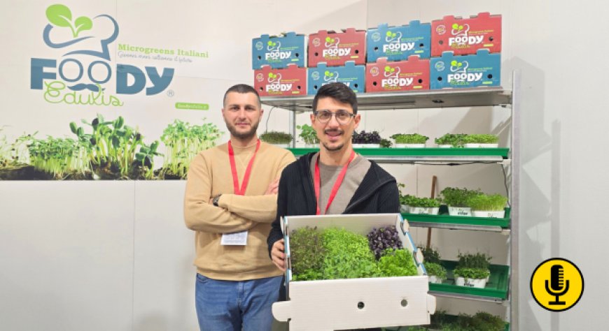 Microgreens: il nuovo ingrediente che apre inediti orizzonti alla mixology