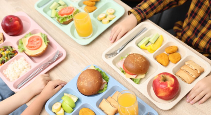 Mense scolastiche, un manifesto per il cibo sano: Coldiretti, Filiera Italia e pediatri uniti