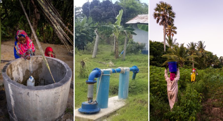 Acqua Sant'Anna e LVIA: due pozzi a Pemba per 45.000 persone