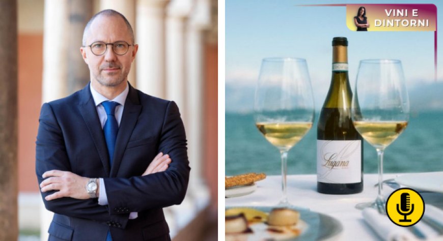 Lugana Doc: un equilibrio costruito tra territorio, mercato e consumo