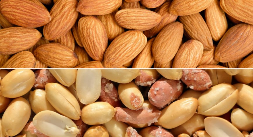 Arachidi e mandorle: surplus globale e prezzi in tensione nel 2026