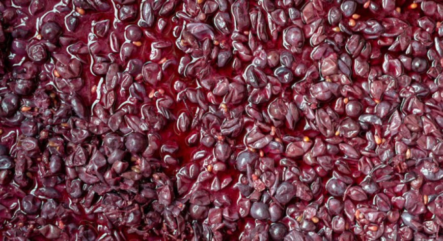 Scopri la parola del giorno su WikiHoreca.com: Mosto d'uva