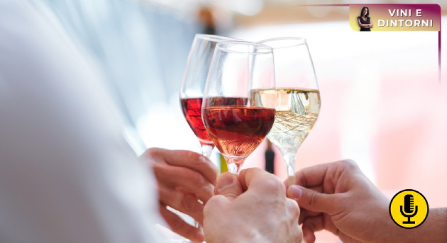 Francia: il vino tiene, ma cambia la geografia del consumo di alcolici