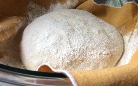 Scopri la parola del giorno su WikiHoreca.com: Poolish