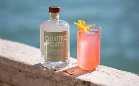 Quattro Gatti Gin è il primo spirit sponsor nella storia della Biennale Arte di Venezia
