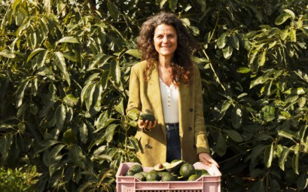 BioSikelia porta a Macfrut 2026 avocado e mango biologici coltivati nel siracusano