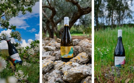 Casa Vinicola Fazio a Vinitaly 2026 con un nuovo progetto grafico per le etichette della DOC Erice