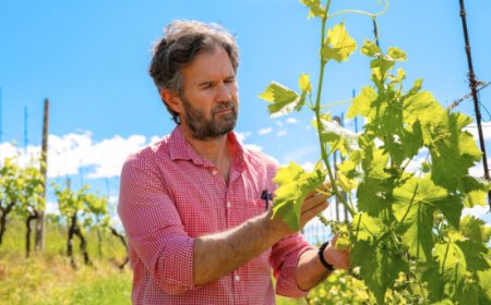 Vinitaly 2026, Carlo Cracco svela i menu dell'Emilia-Romagna: un percorso nelle eccellenze Dop e Igp della regione