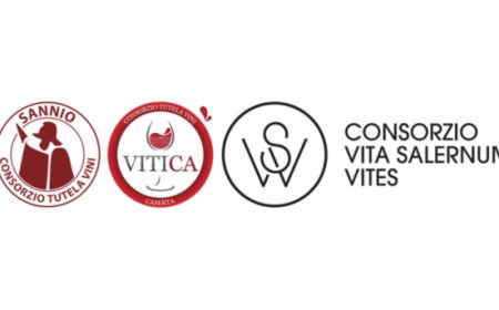 Campania del vino, progetto comune a Vinitaly 2026 per rafforzare il posizionamento