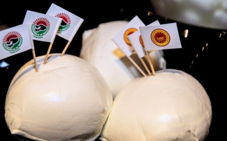 Mozzarella di bufala Dop, rincari e export a rischio per la crisi in Iran
