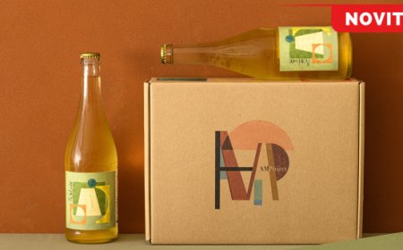 Komb(w)ine, il progetto che unisce kombucha e mosto d'uva