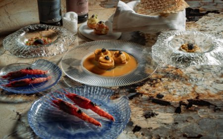 A Roma apre Layla, il counter che celebra il gambero rosso di Mazara, gli scampi e il caviale d’eccellenza