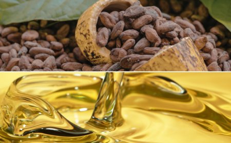 Cacao e olio d'oliva: mercati in movimento tra rimbalzo dei prezzi e stabilità