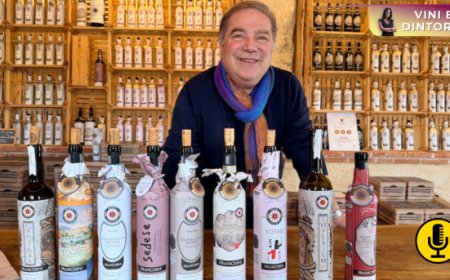 Franchini: tra storia, tecnica e progetto, una lettura contemporanea della Valpolicella