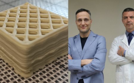 Dal gelato alla ricerca medica: MEC3 contribuisce a un alimento speciale