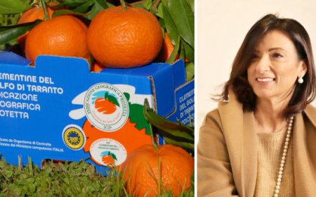 Daniela Barreca confermata presidente del Consorzio di Tutela IGP Clementine del Golfo di Taranto