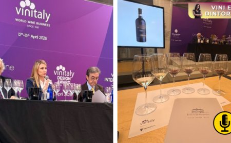 Il terroir oltre la vigna: a Carmignano il progetto Artimino tra zonazione, storia e nuova lettura del vino