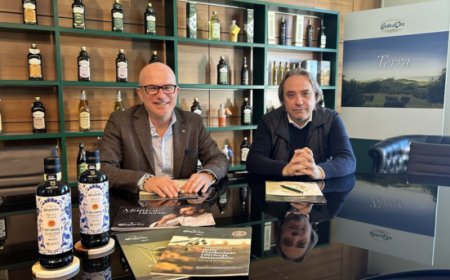 Costa d'Oro e Assoprol Umbria: nuovo protocollo per la filiera olivicola DOP Umbria