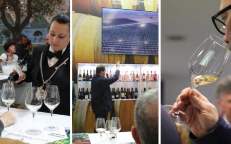 La Vigna Agrivoltaica di Comunità porta al Vinitaly i primi vini agrivoltaici d'Italia