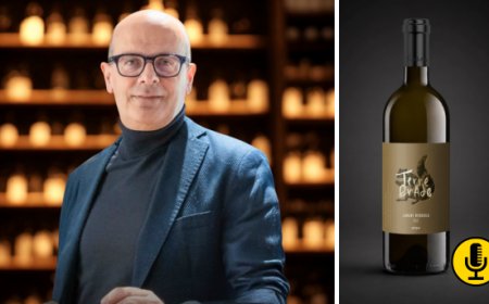 Prosit Group ripensa portafoglio e distribuzione: il piano per crescere nell’Horeca