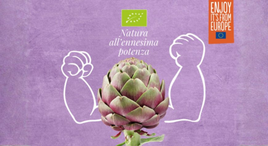 EUPHORIA BIO: il carciofo biologico protagonista nei ristoranti italiani