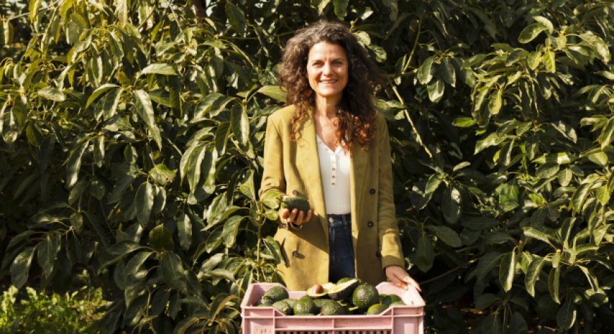 BioSikelia porta a Macfrut 2026 avocado e mango biologici coltivati nel siracusano