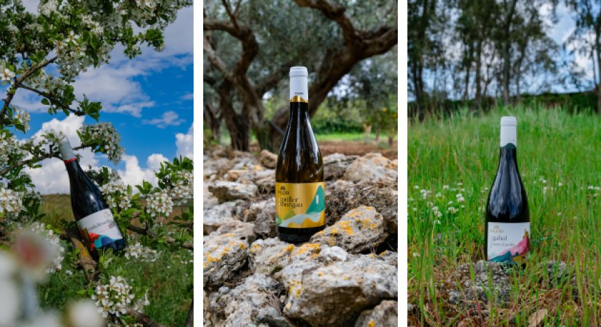 Casa Vinicola Fazio a Vinitaly 2026 con un nuovo progetto grafico per le etichette della DOC Erice