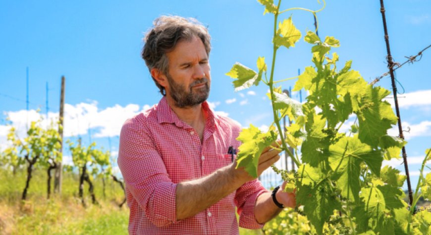 Vinitaly 2026, Carlo Cracco svela i menu dell'Emilia-Romagna: un percorso nelle eccellenze Dop e Igp della regione