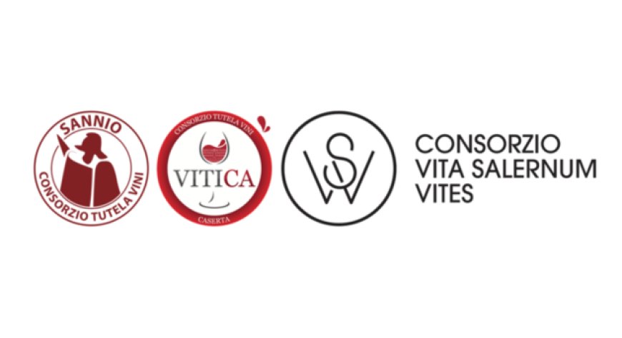 Campania del vino, progetto comune a Vinitaly 2026 per rafforzare il posizionamento
