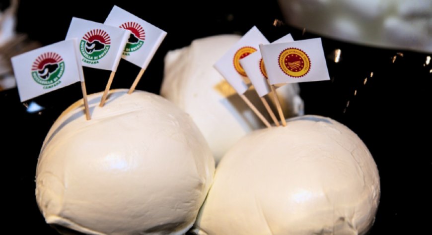 Mozzarella di bufala Dop, rincari e export a rischio per la crisi in Iran