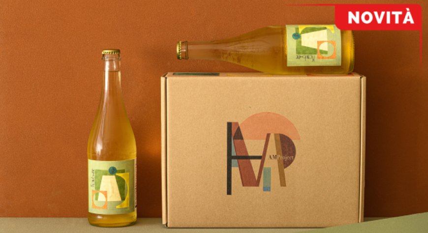 Komb(w)ine, il progetto che unisce kombucha e mosto d'uva