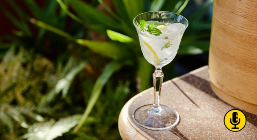 Alla scoperta dell’Hugo: storia, ricetta e abbinamenti del drink altoatesino che sta conquistando il mondo