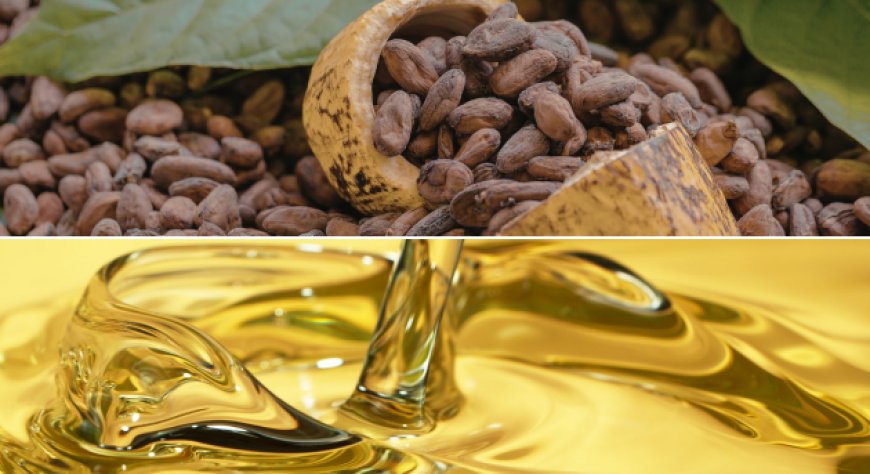 Cacao e olio d'oliva: mercati in movimento tra rimbalzo dei prezzi e stabilità