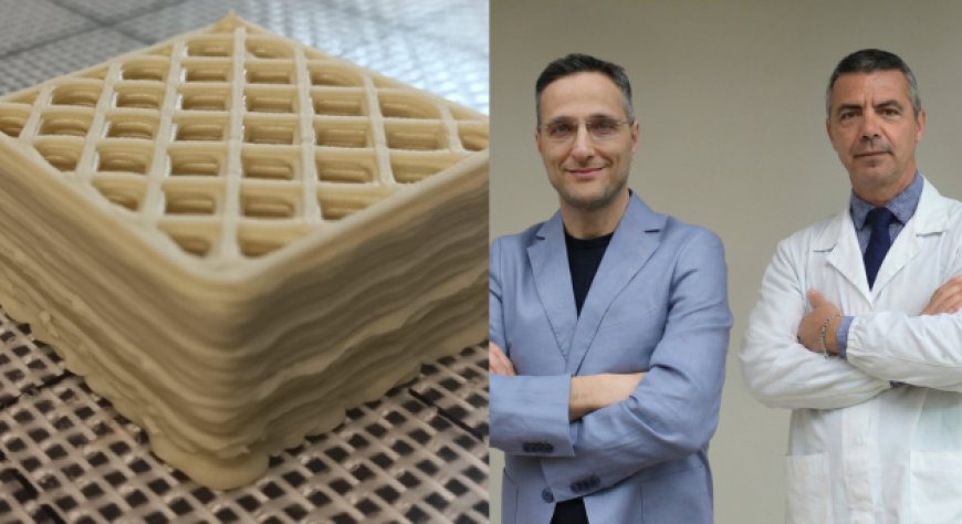 Dal gelato alla ricerca medica: MEC3 contribuisce a un alimento speciale