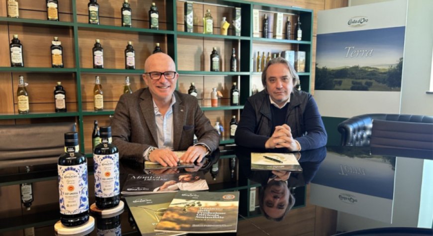 Costa d'Oro e Assoprol Umbria: nuovo protocollo per la filiera olivicola DOP Umbria