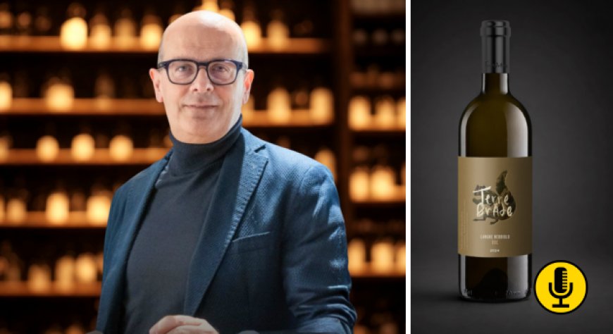 Prosit Group ripensa portafoglio e distribuzione: il piano per crescere nell’Horeca