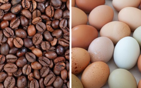 Caffè, il Brasile rivede al rialzo le stime sull’arabica. Uova: prezzi in calo dopo i rincari del 2025