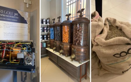 Bologna. Essse Caffè rinnova lo spazio di via Galliera e apre alla città un hub sul caffè