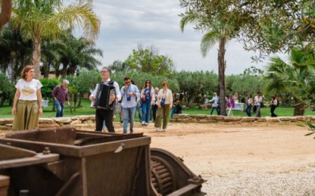 Cantine Aperte 2026:  le vigne d'Italia si aprono tra esperienze, arte e natura