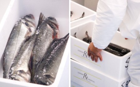 Longino & Cardenal inaugura Il Mercato del Pesce: laboratorio ittico e filiera diretta