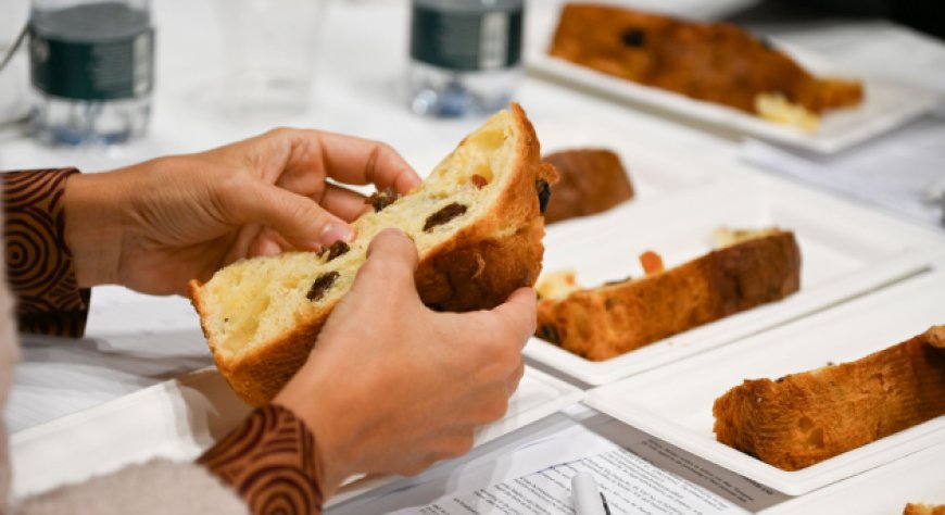 Panettone World Championship 2027 accende i motori
