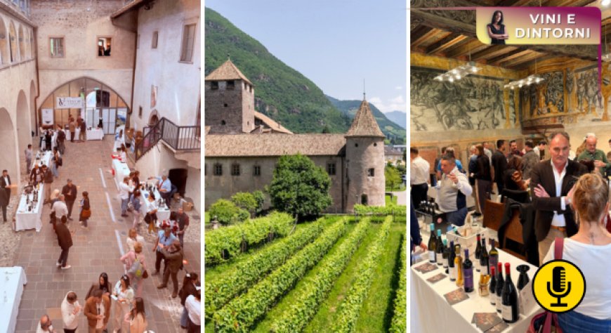Vinaltum cresce a Bolzano tra territorio, ascolto e convivialità