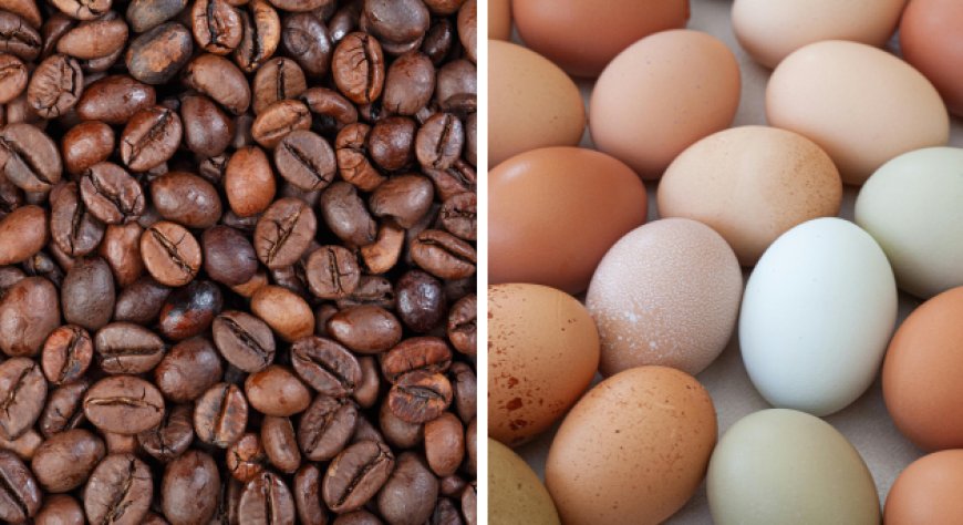 Caffè, il Brasile rivede al rialzo le stime sull’arabica. Uova: prezzi in calo dopo i rincari del 2025