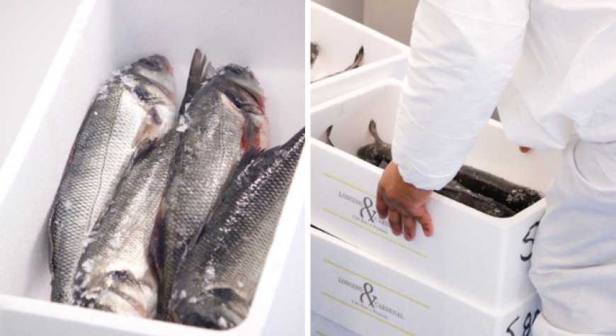 Longino & Cardenal inaugura Il Mercato del Pesce: laboratorio ittico e filiera diretta