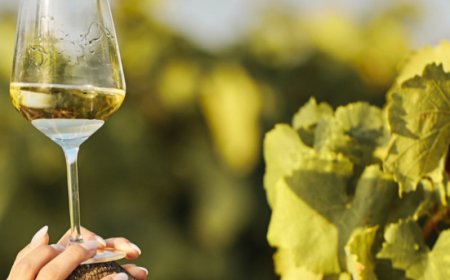 Vini fortificati, la Sicilia a Vinoble sostiene la candidatura UNESCO della Sun Belt