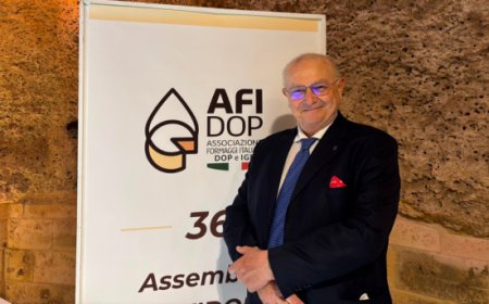 Formaggi DOP e IGP, export da 3,3 miliardi ma pesano le tariffe USA