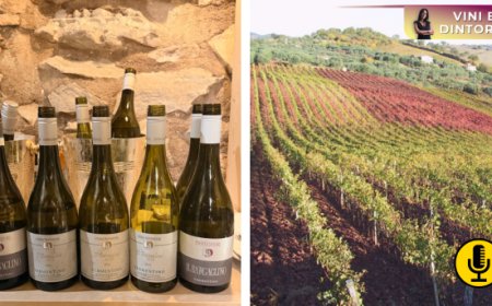 Bargaglino: cinque annate per raccontare il Vermentino di Maremma secondo Provveditore